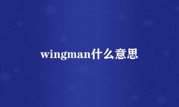 wingman什么意思