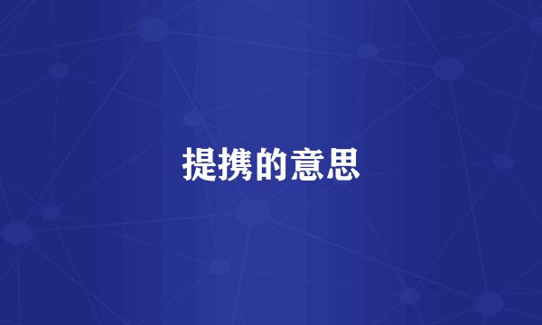 提携的意思