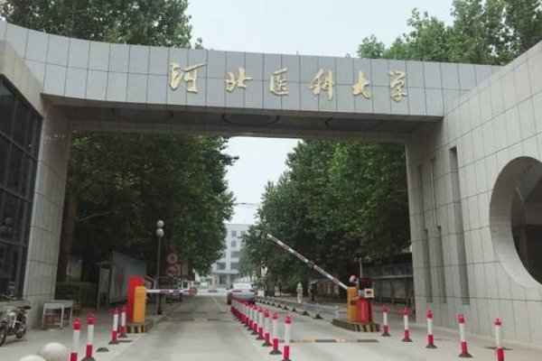 对口高考在河北省能报考哪些大学