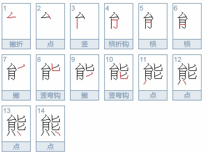 熊的笔顺怎么写
