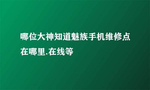 哪位大神知道魅族手机维修点在哪里.在线等