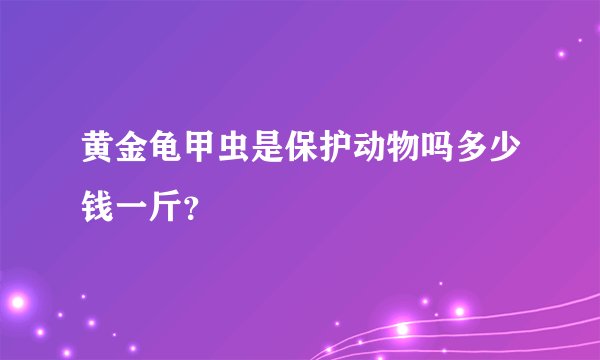 黄金龟甲虫是保护动物吗多少钱一斤？