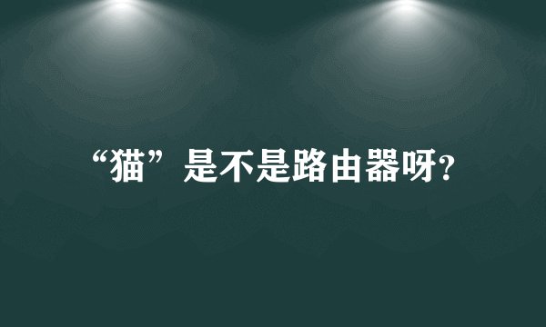 “猫”是不是路由器呀？