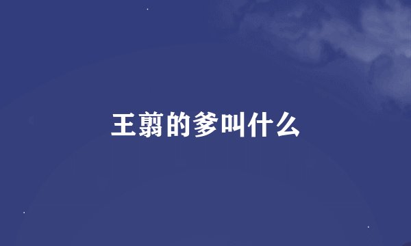 王翦的爹叫什么
