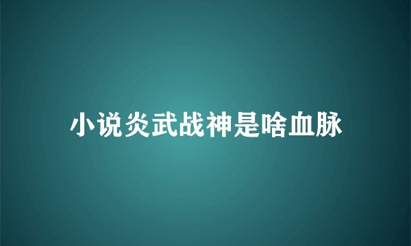 小说炎武战神是啥血脉