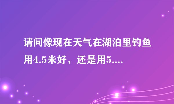 请问像现在天气在湖泊里钓鱼用4.5米好，还是用5.4米好，我用的4.5米钓了2，3条，我同事钓了2.30条。