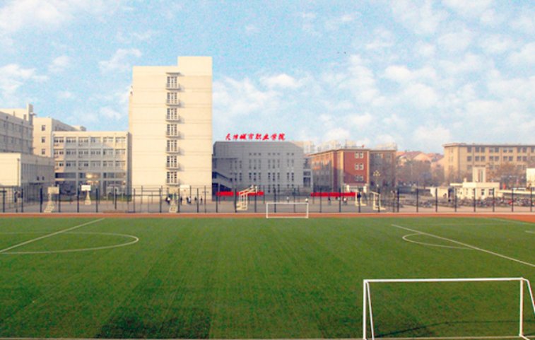 天津春考可以考哪些大学