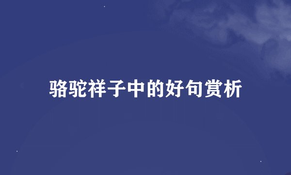 骆驼祥子中的好句赏析