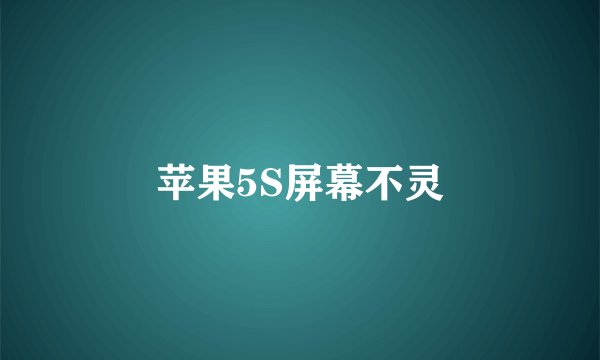 苹果5S屏幕不灵