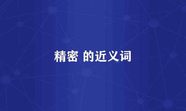 精密 的近义词