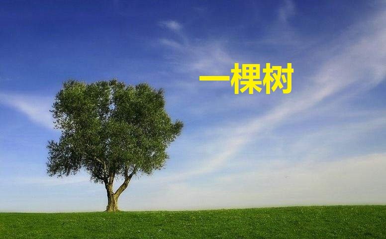 棵字组词怎么组