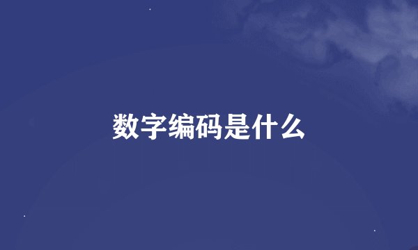 数字编码是什么