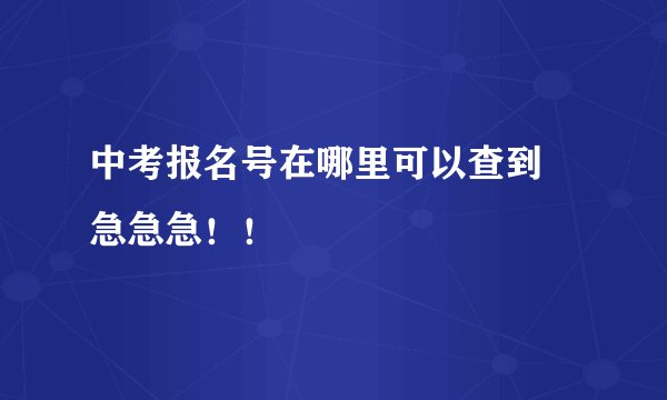 中考报名号在哪里可以查到  急急急！！