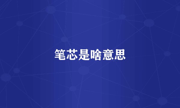 笔芯是啥意思