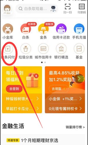 如何查询我的京东闪付卡号