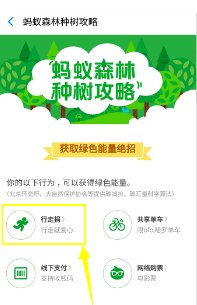 蚂蚁森林为什么有时候没有能量?