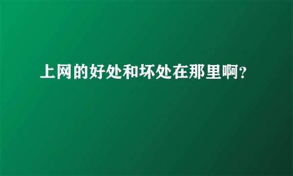 上网的好处和坏处在那里啊?