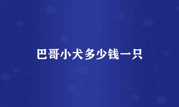 巴哥小犬多少钱一只