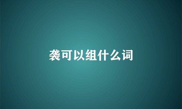 袭可以组什么词