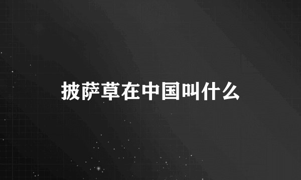 披萨草在中国叫什么