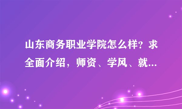 山东商务职业学院怎么样？求全面介绍，师资、学风、就业、升本率等方面。谢谢！