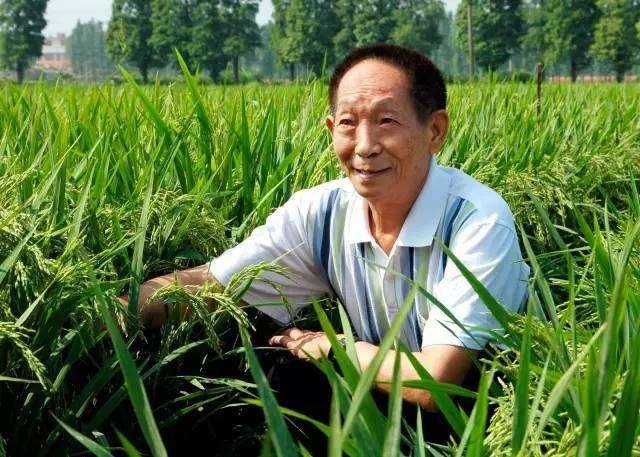 袁隆平是中国科学院的院士吗