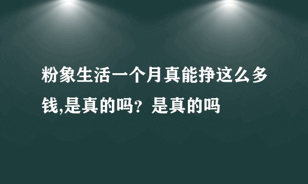 粉象生活一个月真能挣这么多钱,是真的吗？是真的吗