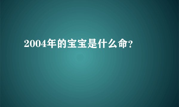 2004年的宝宝是什么命？