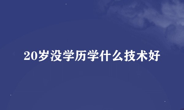 20岁没学历学什么技术好