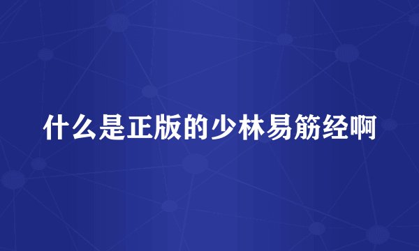 什么是正版的少林易筋经啊