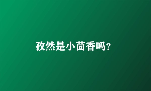 孜然是小茴香吗？