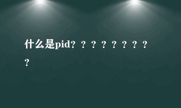 什么是pid？？？？？？？？？