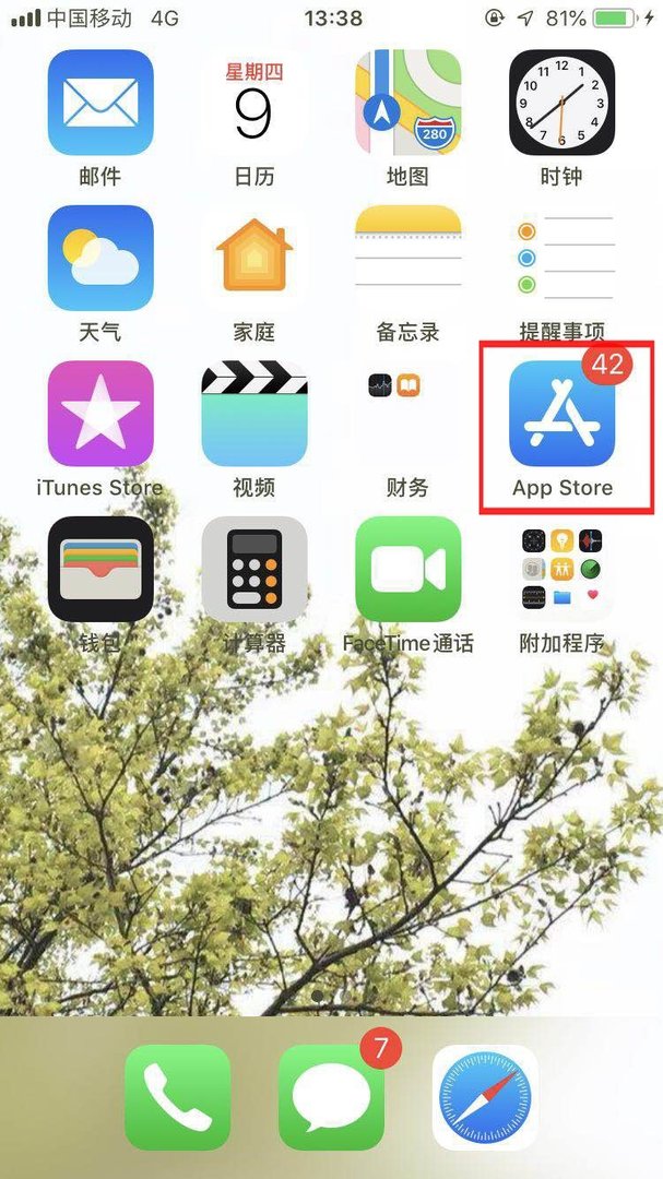 苹果手机下载被限制怎么取消