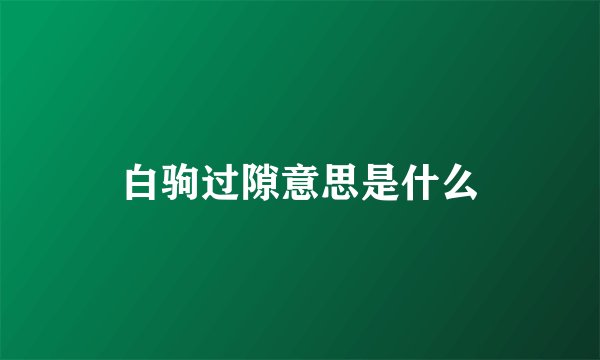 白驹过隙意思是什么