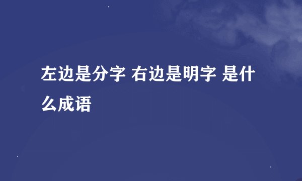 左边是分字 右边是明字 是什么成语