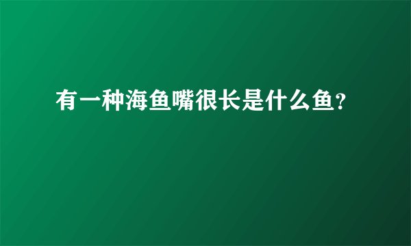有一种海鱼嘴很长是什么鱼？