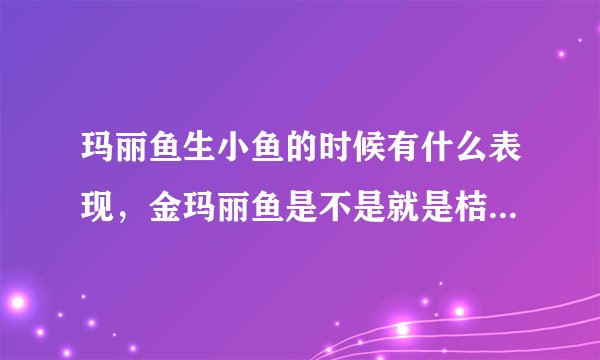 玛丽鱼生小鱼的时候有什么表现，金玛丽鱼是不是就是桔黄色的鱼？