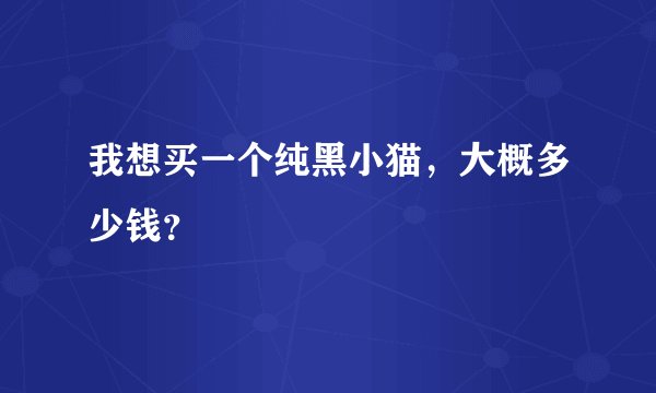 我想买一个纯黑小猫，大概多少钱？
