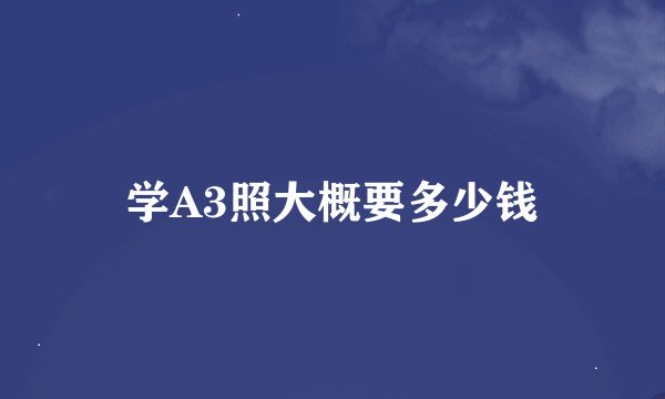 学A3照大概要多少钱