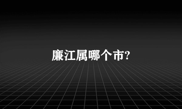 廉江属哪个市?