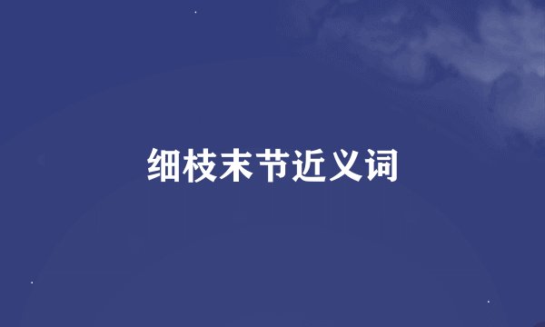 细枝末节近义词
