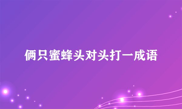 俩只蜜蜂头对头打一成语