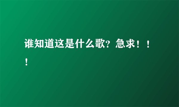 谁知道这是什么歌?急求!!!