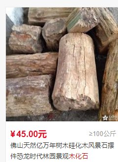 看看我这块木化石值多少钱