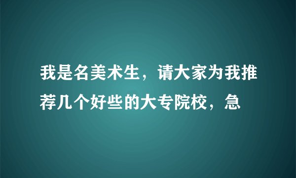 我是名美术生，请大家为我推荐几个好些的大专院校，急