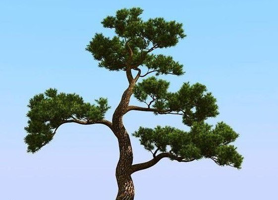 有哪些植物是靠动物来传播种子的