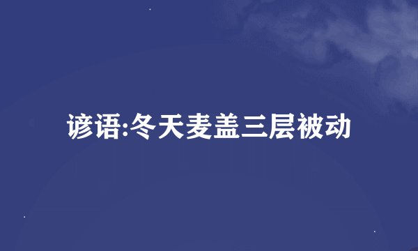 谚语:冬天麦盖三层被动