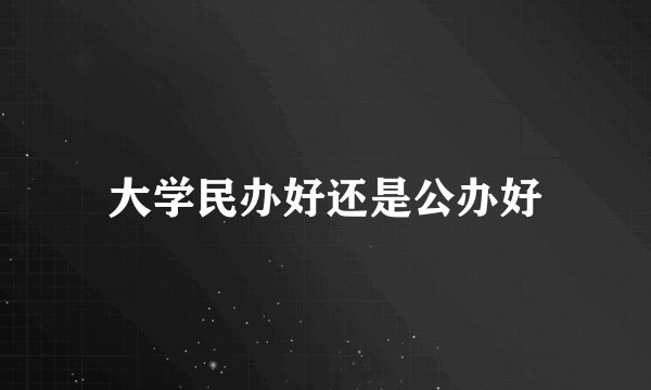 大学民办好还是公办好