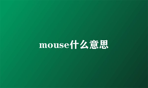 mouse什么意思