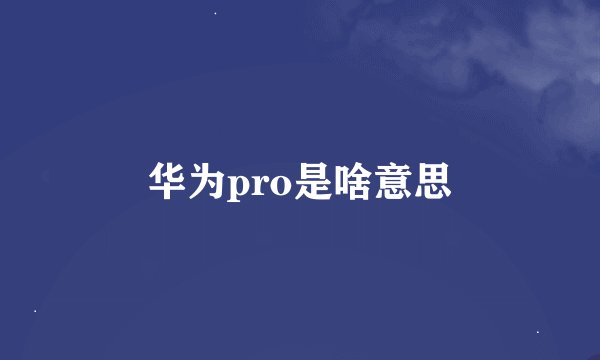华为pro是啥意思